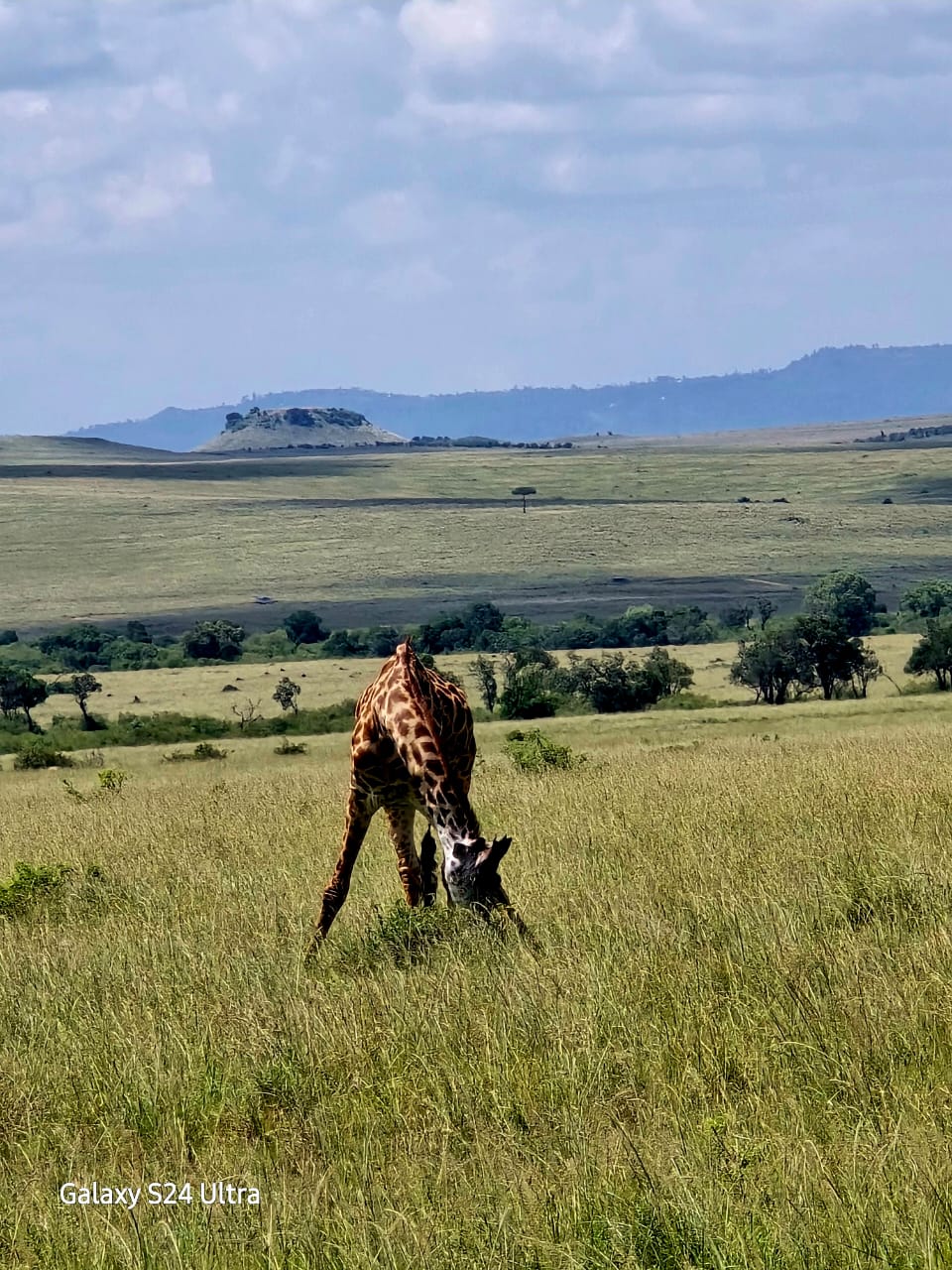 Nairobi National Park