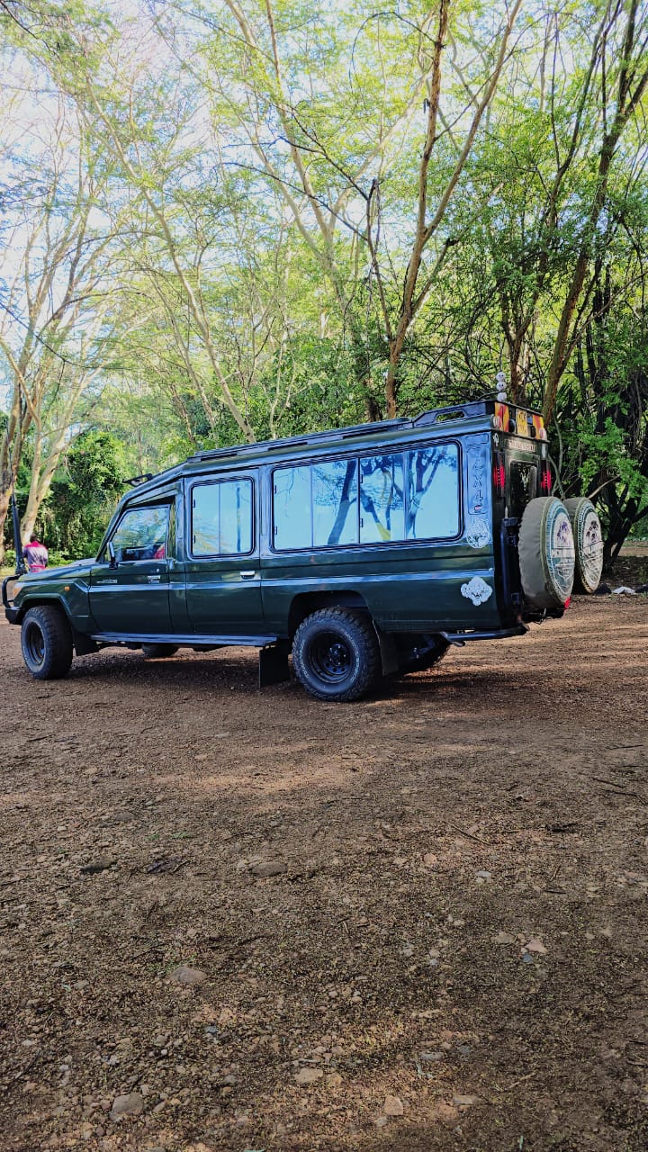 About About Patjud Adventures