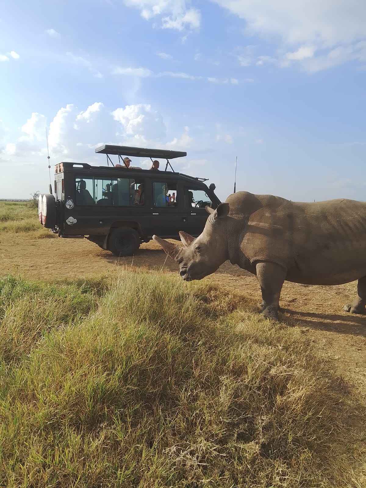 Serengeti Ultimate Safari