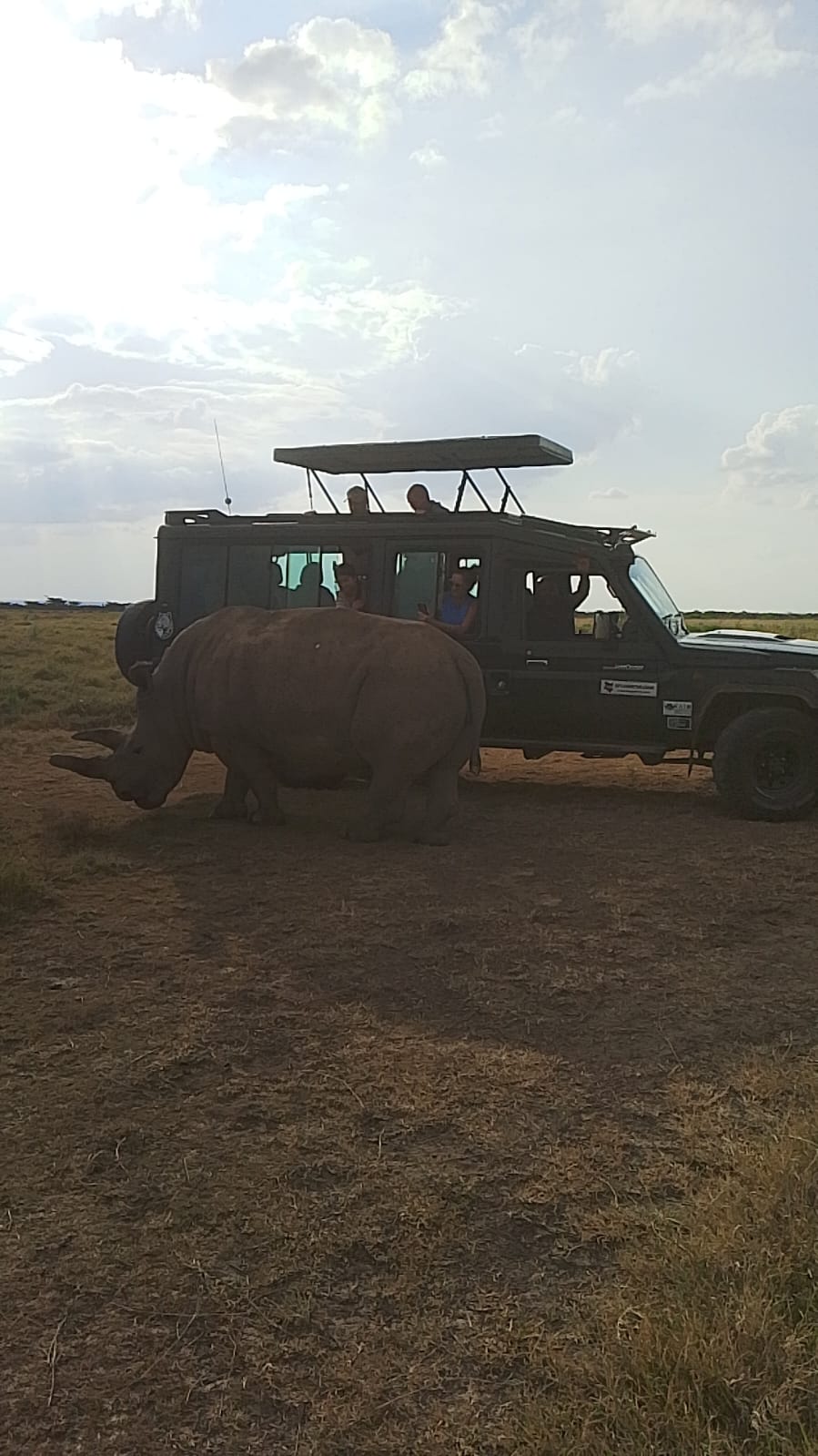 12-Day Ultimate Kenya & Tanzania Safari